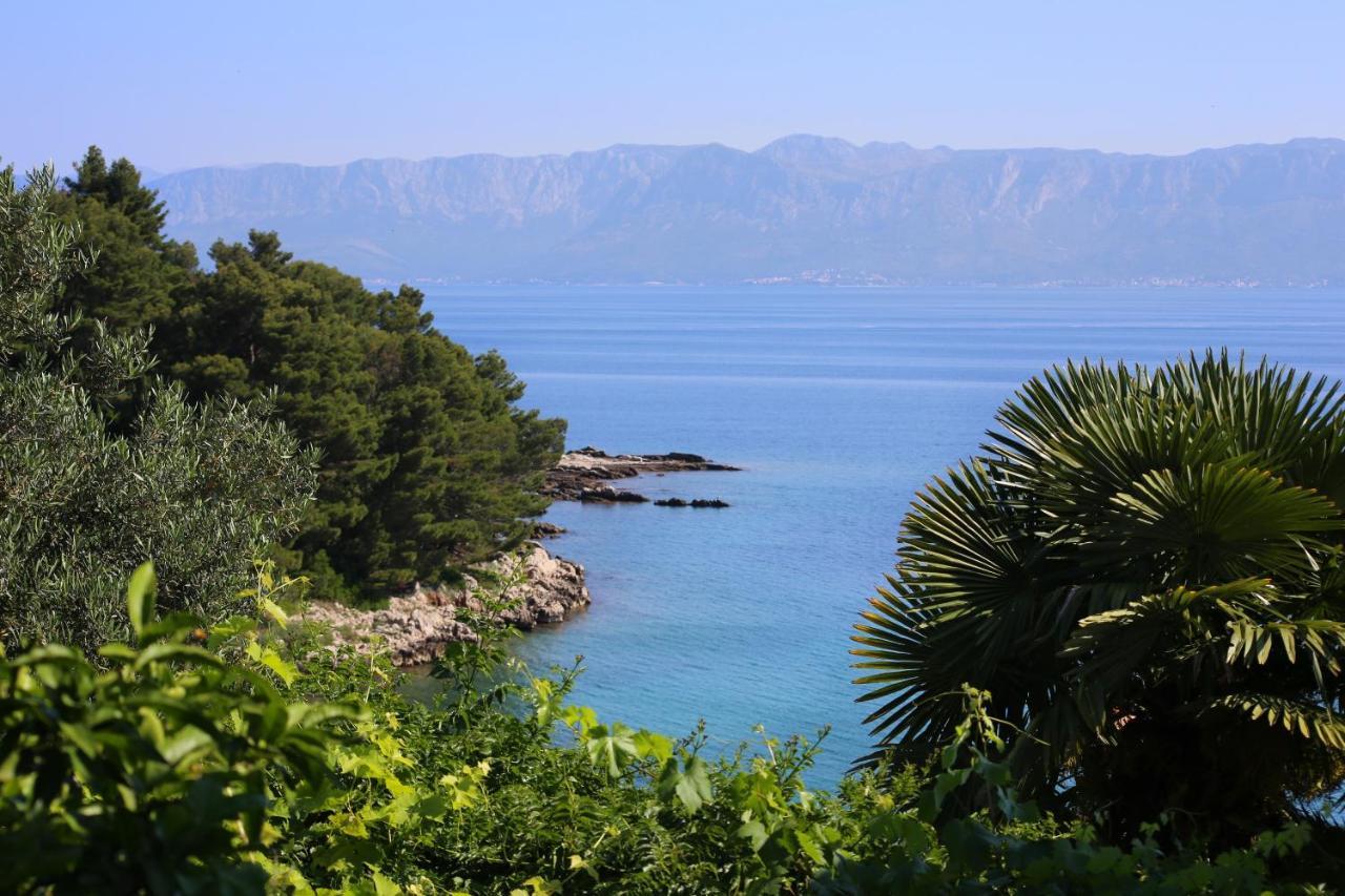 Apartments And Rooms By The Sea Trpanj, Peljesac - 258 Ngoại thất bức ảnh