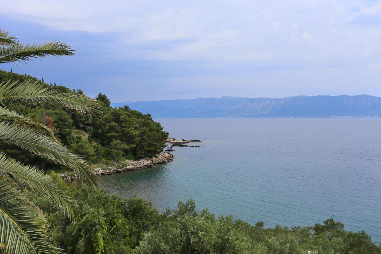 Apartments And Rooms By The Sea Trpanj, Peljesac - 258 Ngoại thất bức ảnh